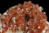 2.9" Hematite Included Calcite and Roselite Association - Morocco - #130805-3